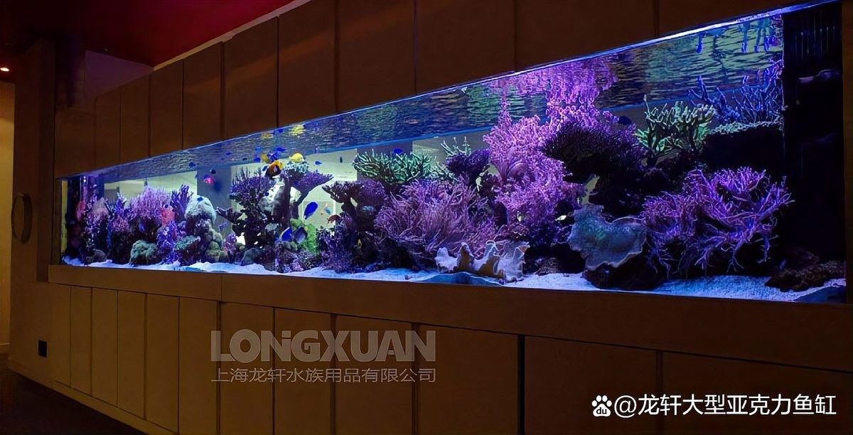 龍魚魚缸背景布更換教程