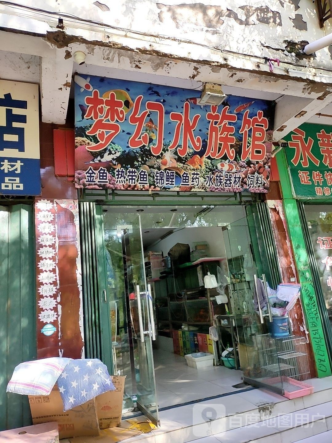 葉縣的夢幻水族館有哪些特色？