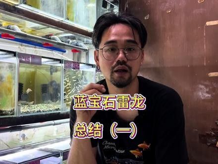 藍寶石龍魚的價格是多少？