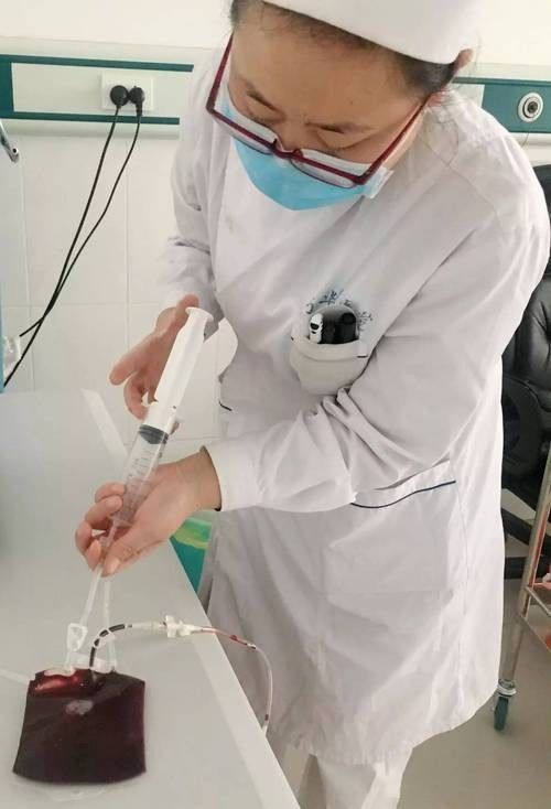 如何預防清道夫生病？
