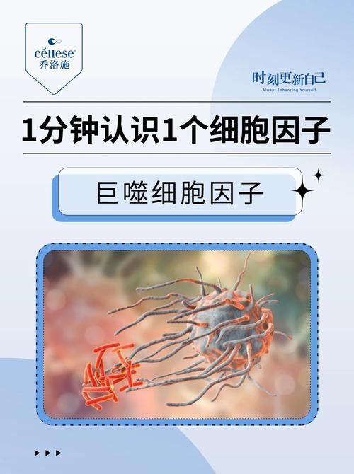 如何預防清道夫生病？