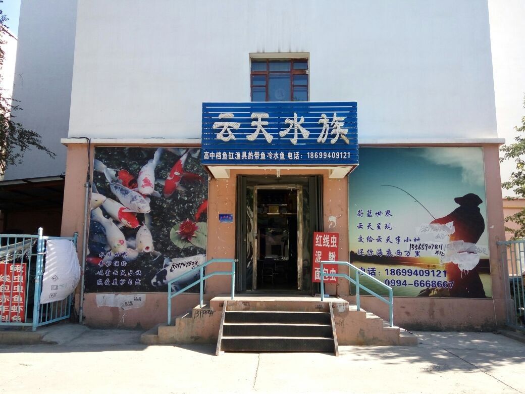 瑪納斯哪個水族館龍魚好？祥龍魚場龍魚（瑪納斯哪個水族館龍魚好）
