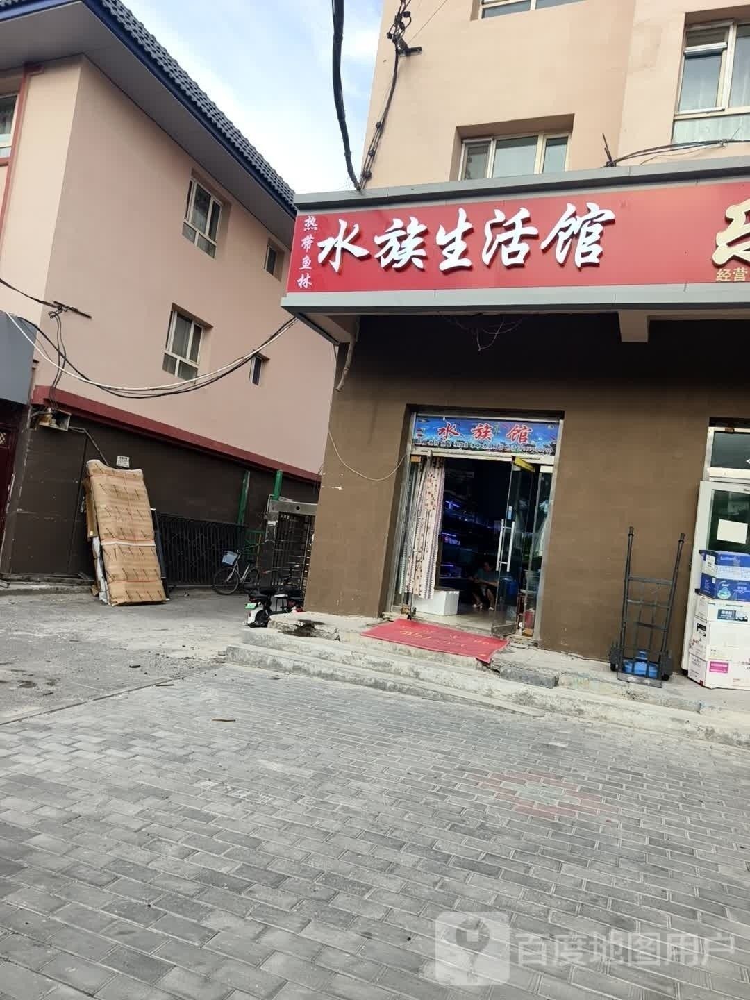 瑪納斯哪個水族館龍魚好？祥龍魚場龍魚（瑪納斯哪個水族館龍魚好）