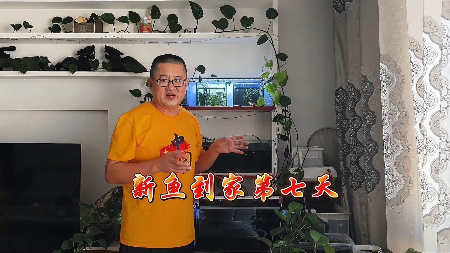 發(fā)情期換水后多久觀察狀態(tài)（養(yǎng)殖魚類時，了解發(fā)情期換水后多久觀察狀態(tài)是很重要的）
