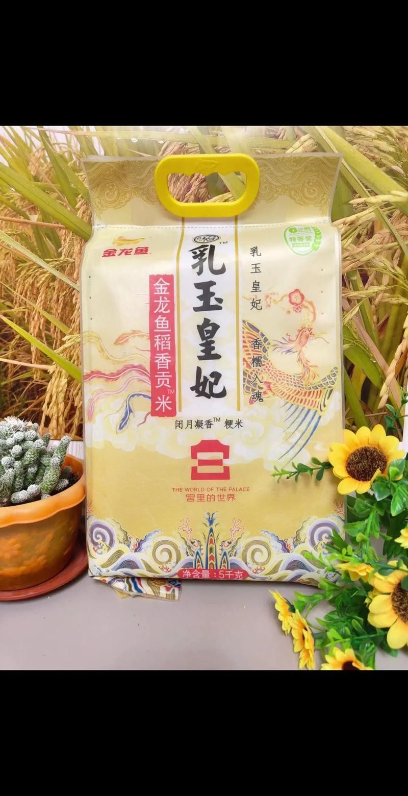 金龍魚天貓旗艦店有哪些商品 金龍魚天貓旗艦店有哪些商品 龍魚百科 第5張
