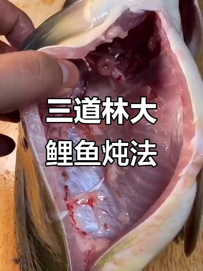 三道鱗大鯉子鯉魚（三道鱗大鯉子鯉魚家常做法）