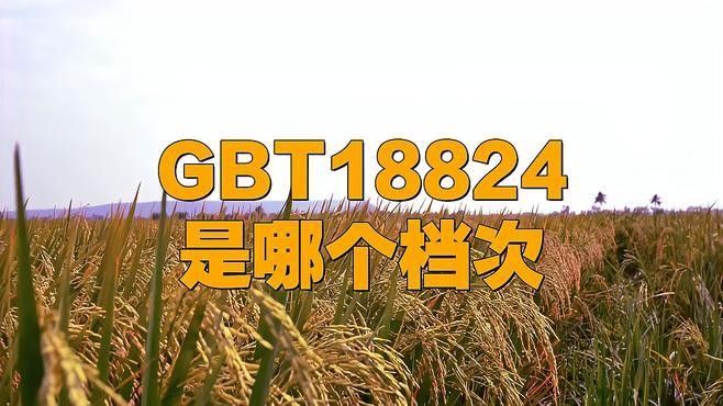 金龍魚盤錦米有哪些等級？ 金龍魚盤錦米有哪些等級？ 龍魚百科 第1張