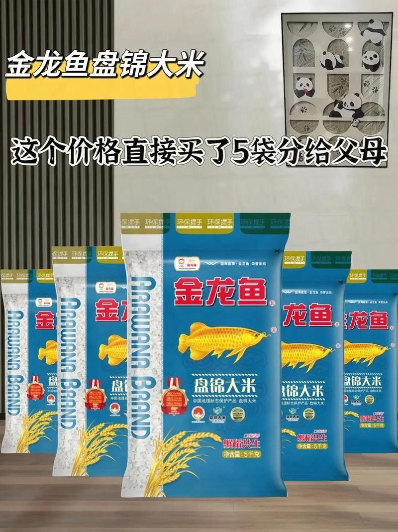 金龍魚盤錦米有哪些等級？ 金龍魚盤錦米有哪些等級？ 龍魚百科 第7張