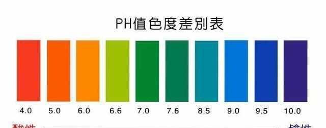龍魚有白色的嗎圖片大全（龍魚有白色的嗎圖片大全大圖）（白色龍魚圖片大全及詳細介紹）