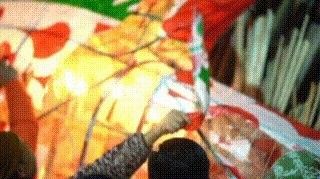 徽州哪個水族館龍魚好？祥龍魚場龍魚（廣州龍魚祥龍魚場） 徽州哪個水族館龍魚好？祥龍魚場龍魚（廣州龍魚祥龍魚場） 龍魚百科 第14張