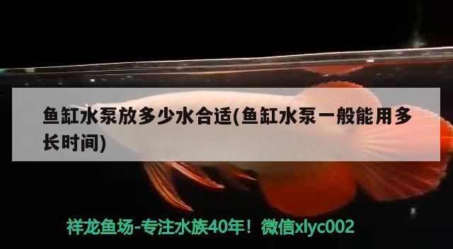 魚缸水泵放多少水合適(魚缸水泵一般能用多長時間)（魚缸水泵一般能用多長時間）