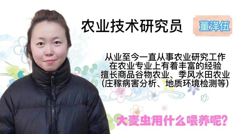 如何飼養(yǎng)面包蟲和大麥蟲？（面包蟲和大麥蟲哪個更有營養(yǎng)面包蟲和大麥蟲哪個更有營養(yǎng)） 如何飼養(yǎng)面包蟲和大麥蟲？（面包蟲和大麥蟲哪個更有營養(yǎng)面包蟲和大麥蟲哪個更有營養(yǎng)） 龍魚百科 第1張