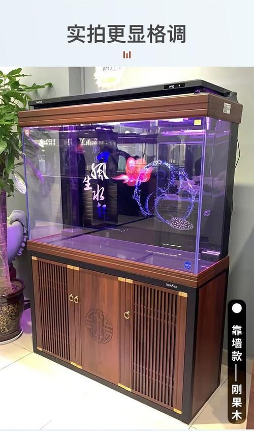 龍魚魚缸推薦品牌（龍魚魚缸品牌及其特點盤點龍魚魚缸品牌及產品特點）