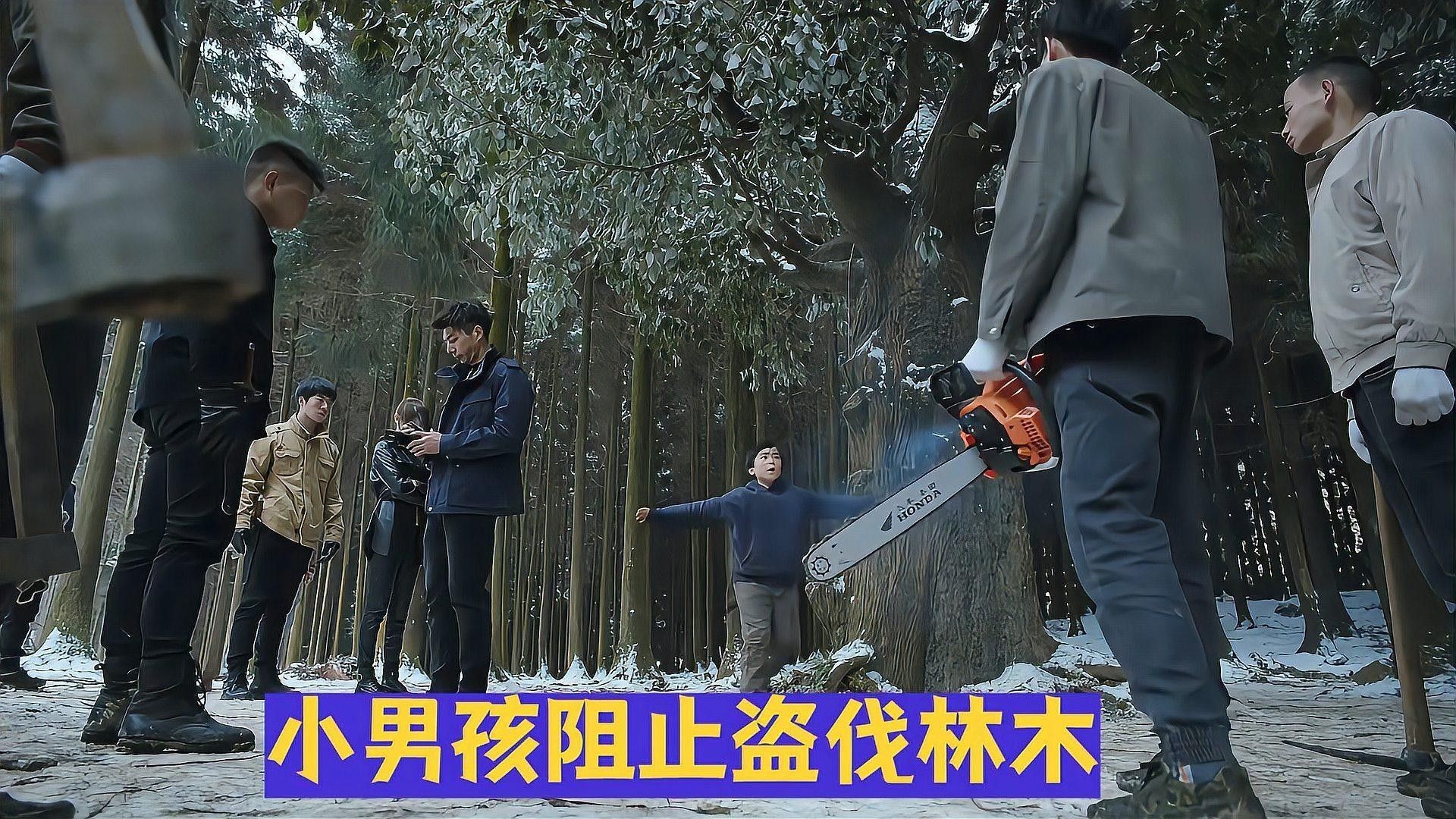 停食期間如何監測水質（停食期間如何監測水質？） 停食期間如何監測水質（停食期間如何監測水質？） 龍魚百科 第2張