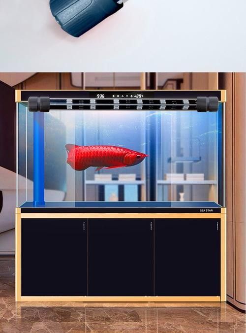 紅龍魚專用燈如何選擇（7天無理由退貨、30天價(jià)保險(xiǎn)、免費(fèi)上門退換、紅龍魚專用燈） 紅龍魚專用燈如何選擇（7天無理由退貨、30天價(jià)保險(xiǎn)、免費(fèi)上門退換、紅龍魚專用燈） 龍魚百科 第12張