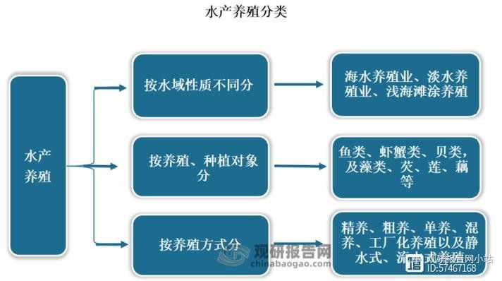 混養期間如何預防疾病（混養期間如何預防疾病，如何選擇適合混養的魚類）