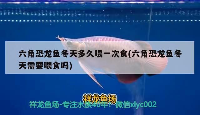 飼料 西安魚缸批發廠家直銷店電話號碼多少(西安魚缸批發廠家直銷店電話號碼多少啊)(西安魚缸批發廠家) 觀賞魚百科 西安魚缸批發廠家直銷店電話號碼多少(西安魚缸批發廠家直銷店電話號碼多少啊)(西安魚缸批發廠家) 西安魚缸批發廠家直銷店電話號碼多少(西安魚缸批發廠家直銷店電話號碼多少啊)(西安魚缸批發廠家) 觀賞魚百科