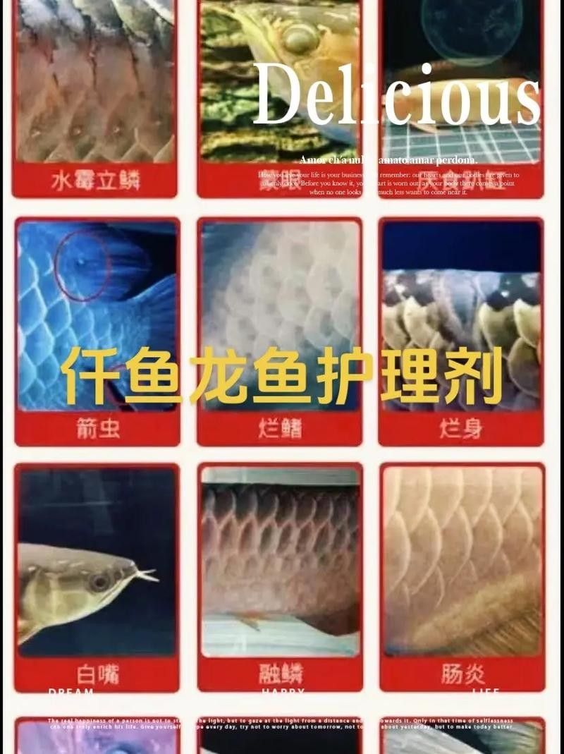 哪種龍魚專用藥物品牌最好（哪種龍魚專用藥品牌最好）