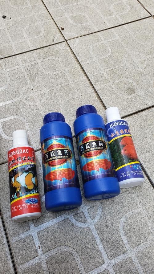 哪種龍魚專用藥物品牌最好（哪種龍魚專用藥品牌最好）