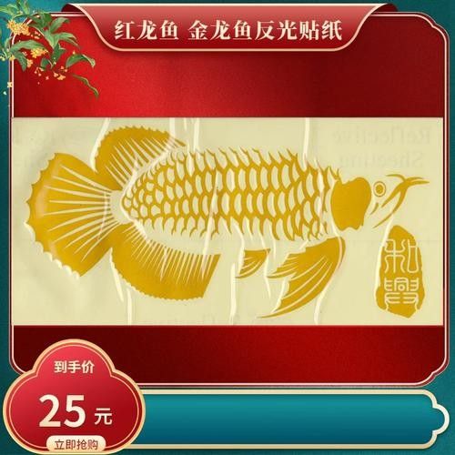 東海小白龍魚怎么繁殖視頻播放（東海小白龍魚的繁殖過程是怎樣的？）