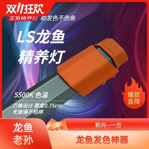 東海小白龍魚怎么繁殖視頻播放（東海小白龍魚的繁殖過程是怎樣的？）