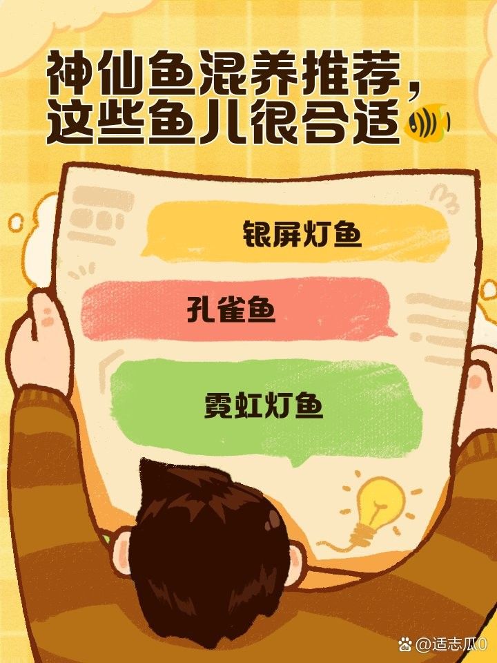 有哪些魚(yú)適合與埃及神仙魚(yú)混養(yǎng)？（埃及神仙魚(yú)可以和哪些魚(yú)混養(yǎng)） 有哪些魚(yú)適合與埃及神仙魚(yú)混養(yǎng)？（埃及神仙魚(yú)可以和哪些魚(yú)混養(yǎng)） 龍魚(yú)百科 第4張
