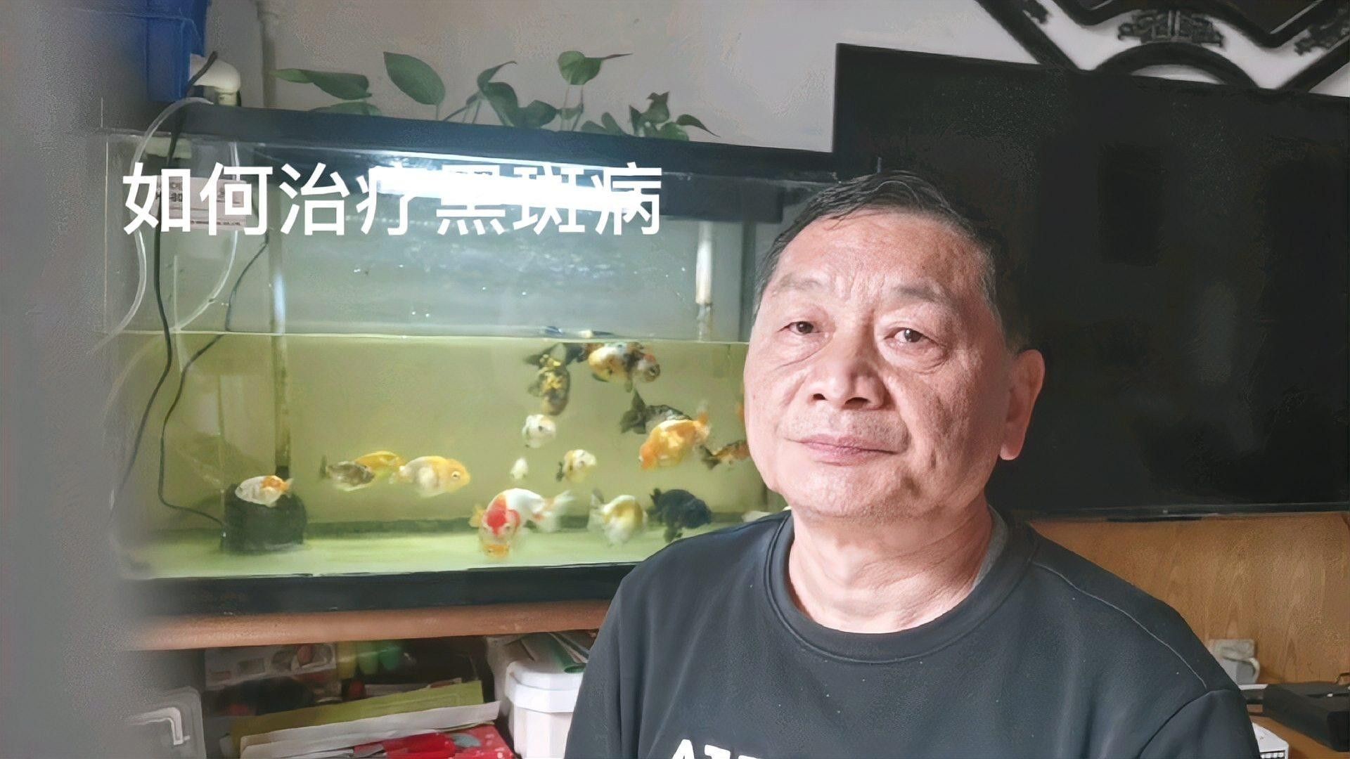 水質問題導致的黑斑如何處理（金魚長黑斑怎么辦）