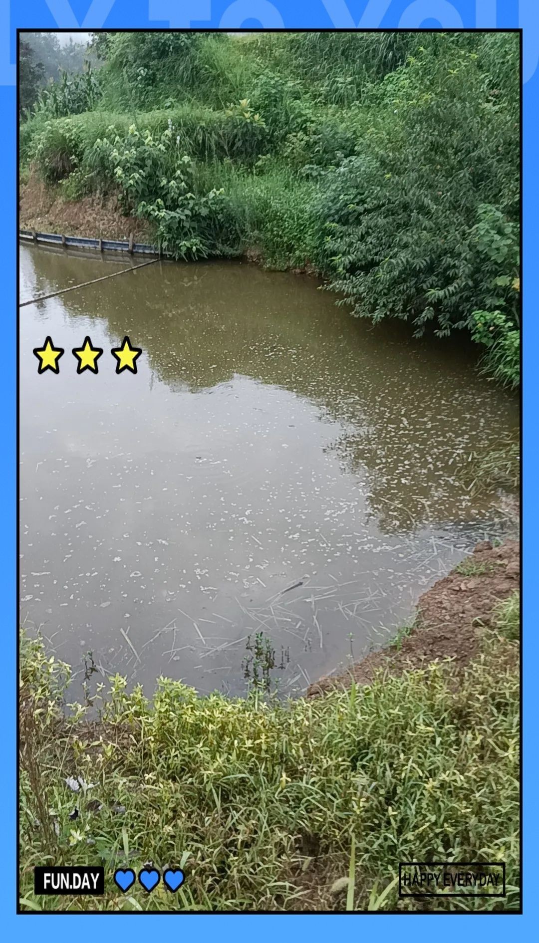 水質問題導致的黑斑如何處理（金魚長黑斑怎么辦）