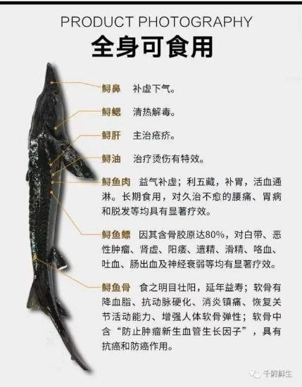 德格哪個水族館龍魚好？祥龍魚場龍魚（廣州龍魚族譜(品種圖鑒)品種圖鑒)難得一見） 德格哪個水族館龍魚好？祥龍魚場龍魚（廣州龍魚族譜(品種圖鑒)品種圖鑒)難得一見） 龍魚百科 第5張