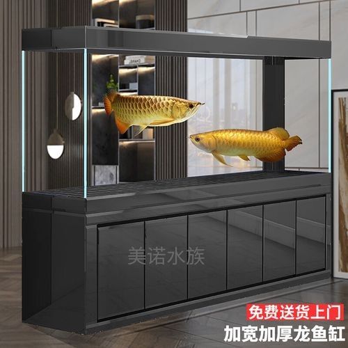 金龍魚缸價格范圍是多少（金龍魚缸價格）