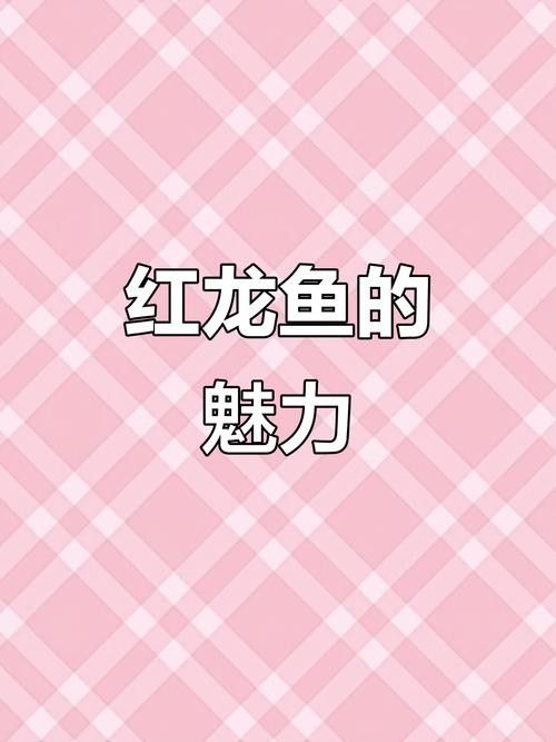 印尼大湖龍魚的價(jià)格是多少（印尼大湖龍魚的價(jià)格）