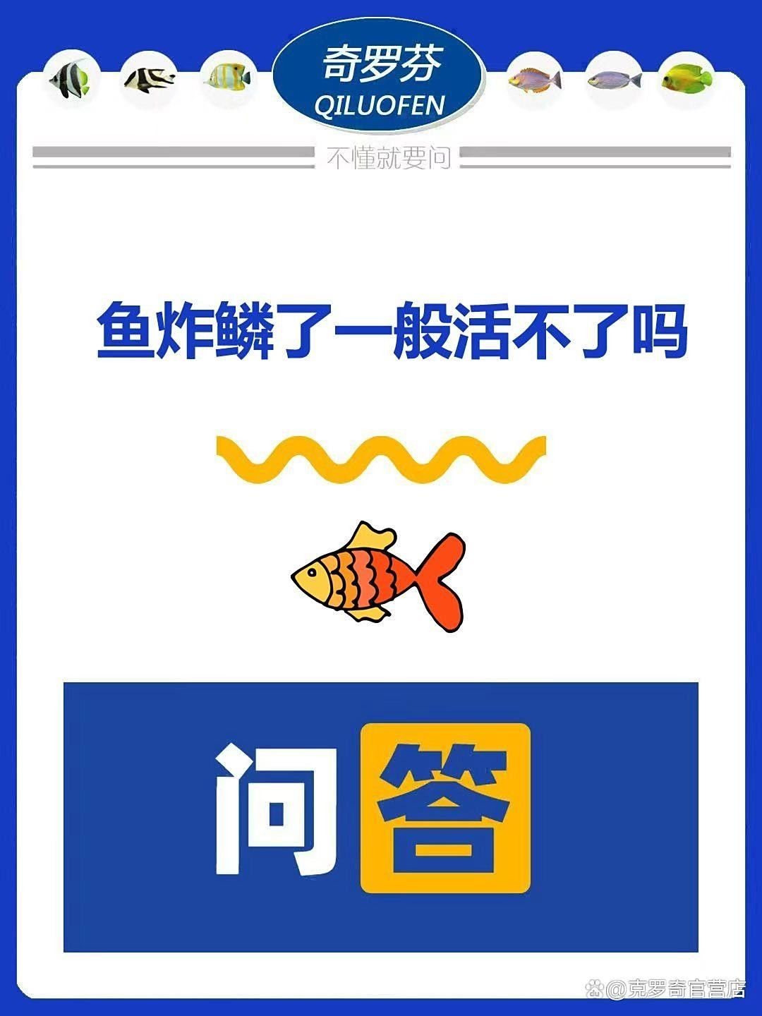 紅龍魚炸鱗病如何治療（紅龍魚炸鱗病怎么治療）