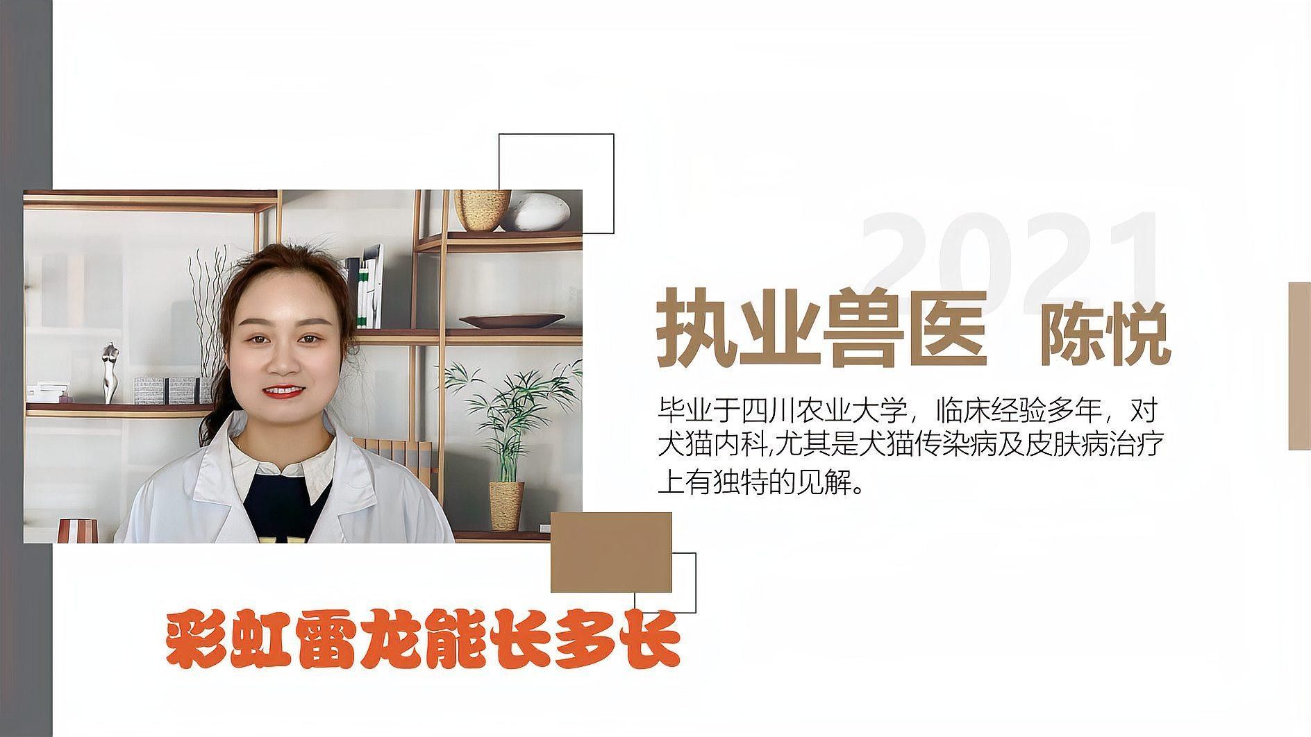 彩虹雷龍魚適合新手嗎？（彩虹雷龍魚怎么養） 彩虹雷龍魚適合新手嗎？（彩虹雷龍魚怎么養） 龍魚百科 第1張