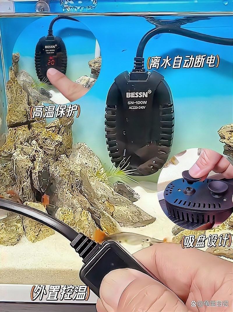 如何設置草龜和龍魚混養的溫度？（草龜和龍魚混養時，溫度的設置至關重要）