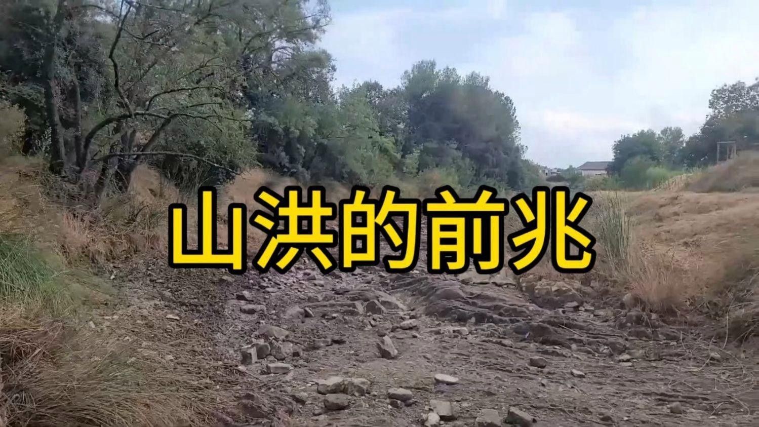 如何判斷是否需要緊急換水（如何判斷魚(yú)缸是否需要緊急換水）