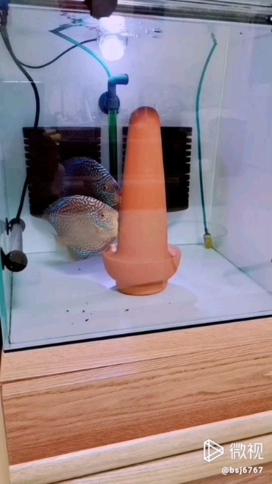<strong><mark>珠海</mark></strong>魚缸哪里有賣的呀圖片（<strong><mark>珠海</mark></strong>買魚 觀賞）（愛華汽車廣場：<strong><mark>珠海</mark></strong>魚缸哪里有賣的呀）