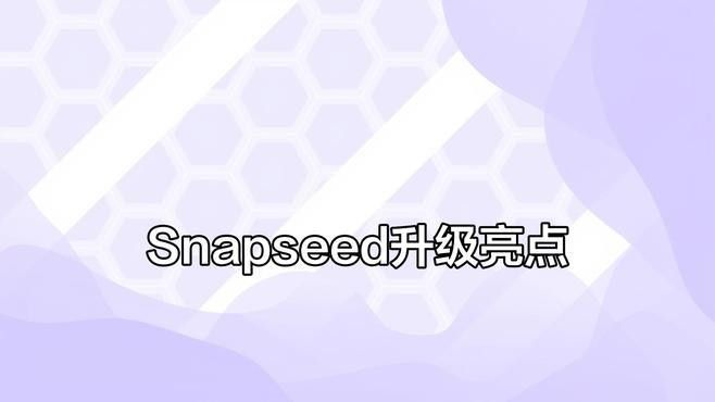 Snapseed有哪些高級功能（snapseed的高級功能）