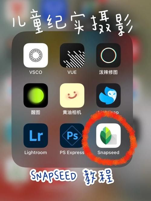 Snapseed有哪些高級功能（snapseed的高級功能）