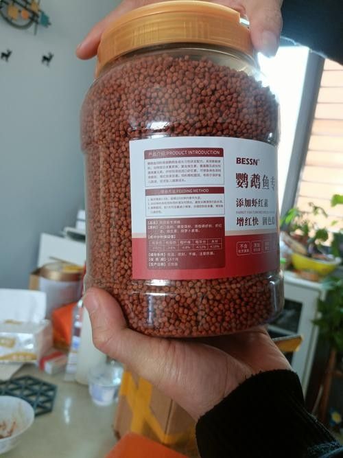 有哪些品牌增色飼料推薦？（增色飼料品牌推薦）