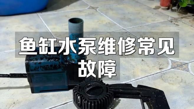 鑫海龍魚缸的維修服務(wù)如何？（海龍魚缸的維修服務(wù)評價）