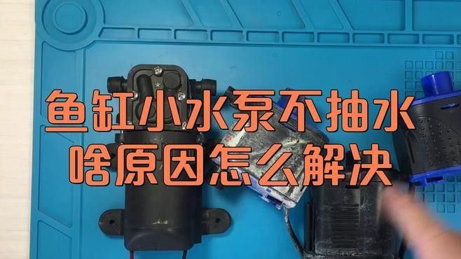 鑫海龍魚缸的維修服務(wù)如何？（海龍魚缸的維修服務(wù)評價）