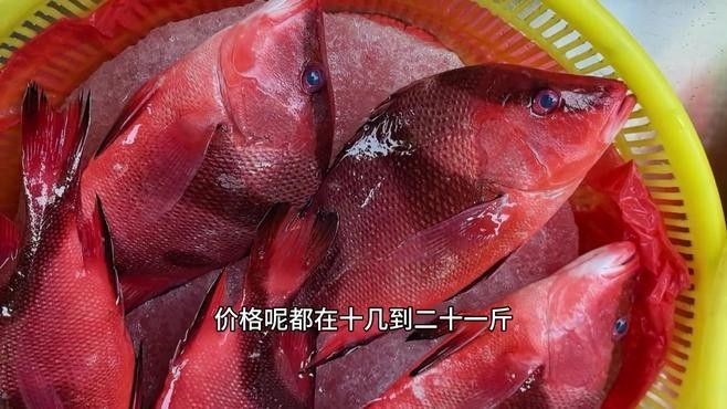 龍魚沉尾如何判斷是否嚴(yán)重了：龍魚沉尾如何判斷是否嚴(yán)重？（如何判斷龍魚是否沉尾）