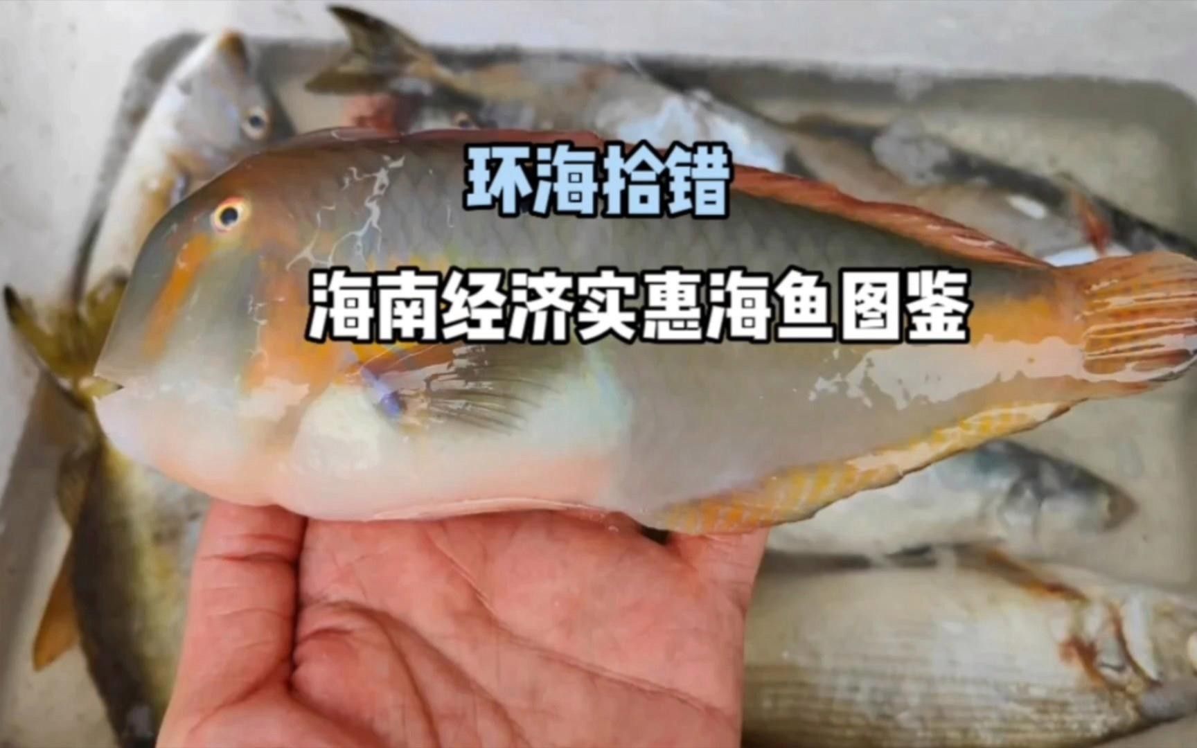 龍魚沉尾如何判斷是否嚴(yán)重了：龍魚沉尾如何判斷是否嚴(yán)重？（如何判斷龍魚是否沉尾）