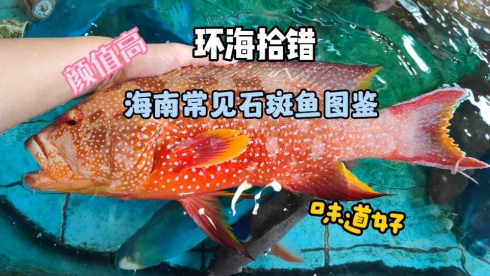 龍魚沉尾如何判斷是否嚴重了：龍魚沉尾如何判斷是否嚴重？（如何判斷龍魚是否沉尾） 龍魚沉尾如何判斷是否嚴重了：龍魚沉尾如何判斷是否嚴重？（如何判斷龍魚是否沉尾） 水族問答 第5張