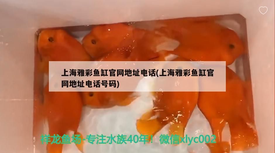 上海雅彩魚缸官網地址電話(上海雅彩魚缸官網地址電話號碼)（上海雅彩魚缸官網地址地址電話） 上海雅彩魚缸官網地址電話(上海雅彩魚缸官網地址電話號碼)（上海雅彩魚缸官網地址地址電話） 觀賞魚百科