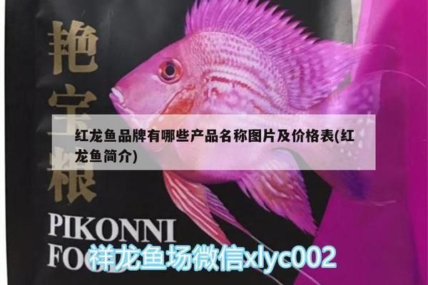 龍魚狀態(tài)挺好就是不吃東西（龍魚狀態(tài)挺好就是不吃東西怎么回事）（龍魚不吃東西怎么辦）