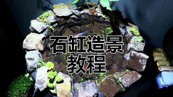 龍魚缸石頭造景需要哪些工具？（魚缸石頭造景工具）