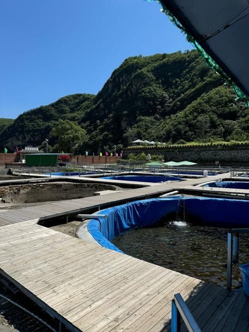 如何聯系長春龍魚養殖場（如何聯系長春市龍魚養殖場）