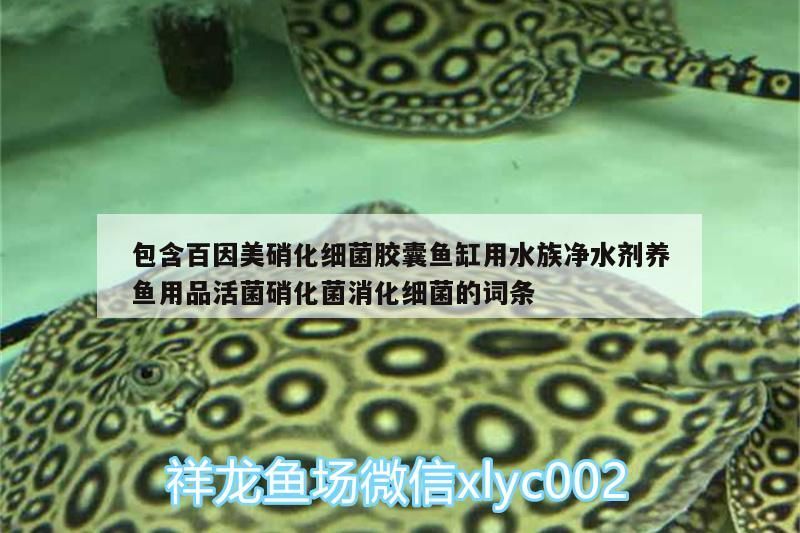 包含百因美硝化細菌膠囊魚缸用水族凈水劑養魚用品活菌硝化菌消化細菌的詞條（百因美硝化細菌膠囊魚缸用水族凈水劑養魚用品活菌硝化細菌消化細菌）