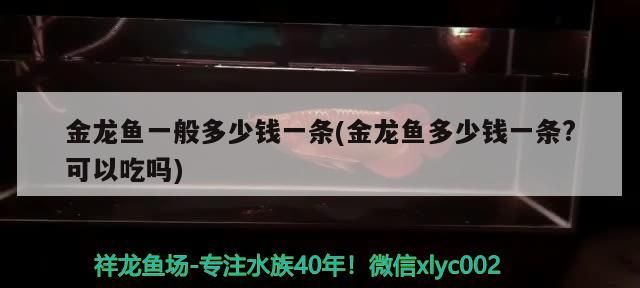 金龍魚一般多少錢一條(金龍魚多少錢一條?可以吃嗎)（金龍魚一般多少錢一條）